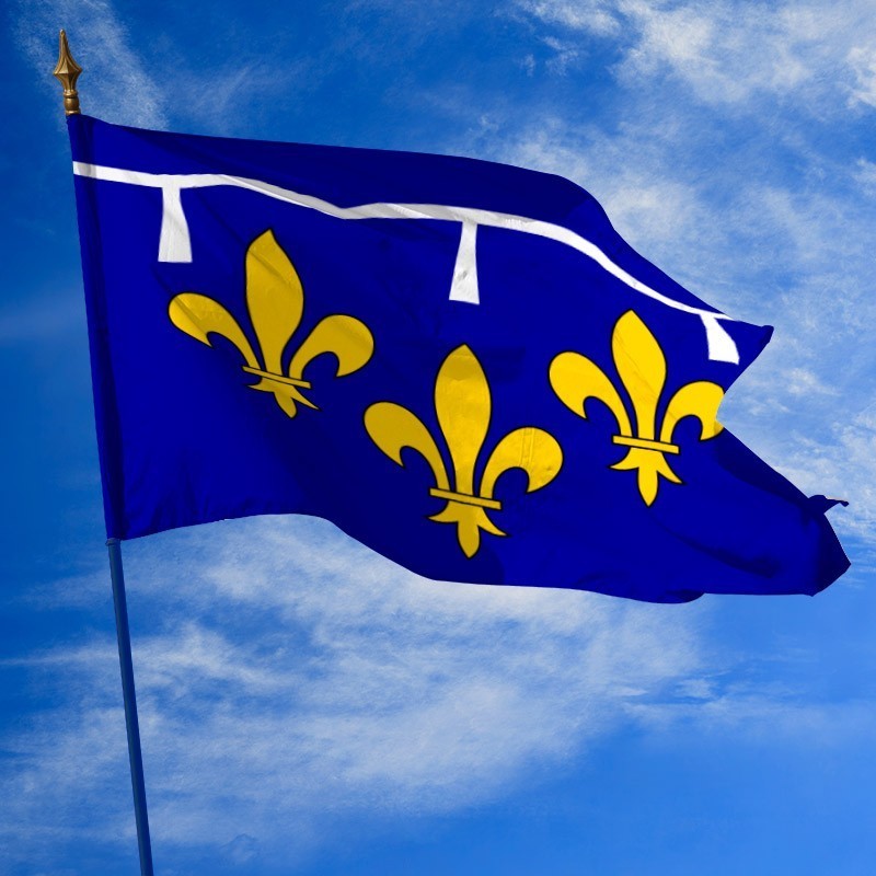 C'est pas permis d'être aussi mauvais Drapeaux-orleanais