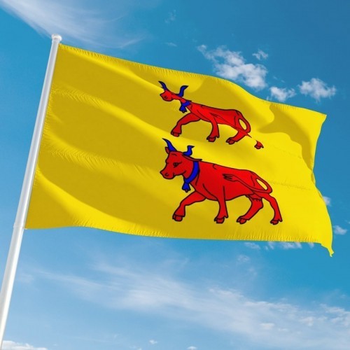 Drapeau Du B arn Disponibles En 6 Tailles Diff rentes