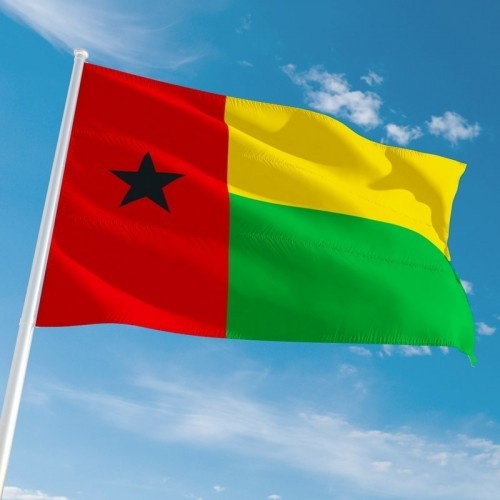 Pavillon de la Guinée Bissau
