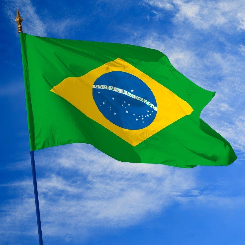 Drapeau Du Br sil