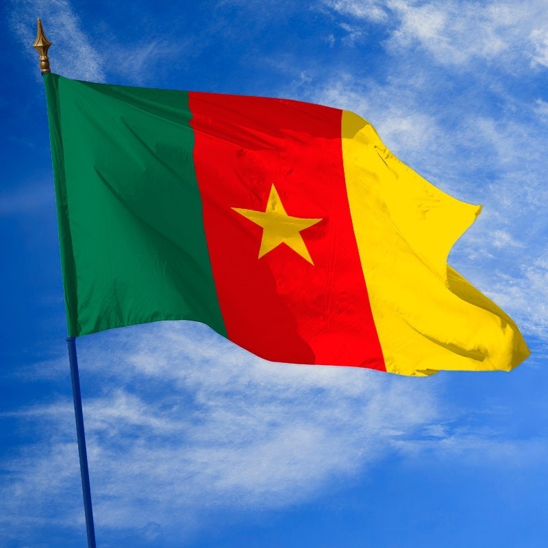 Drapeau Du Cameroun