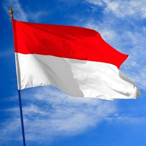 Drapeau de l'Indonésie