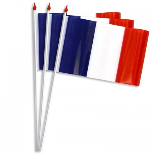 Drapeaux de table plastique - France